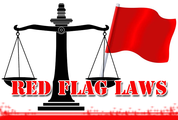 Michigan faces pushback with gun red flag law set to pass - La Prensa ...